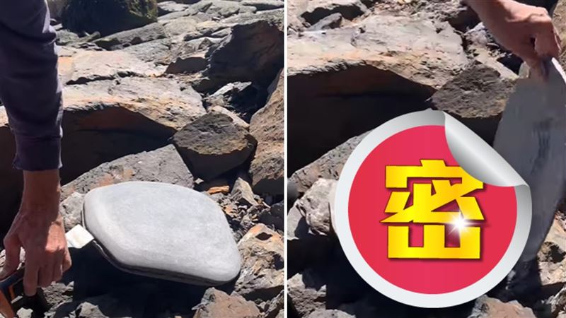 傳挖到保險套化石 眾人傻眼:恐龍也懂?