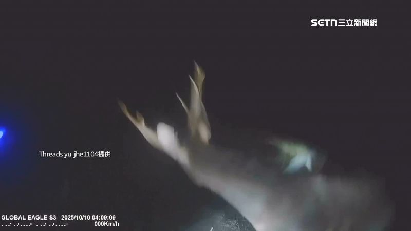 騎士與公鹿發生擦撞意外