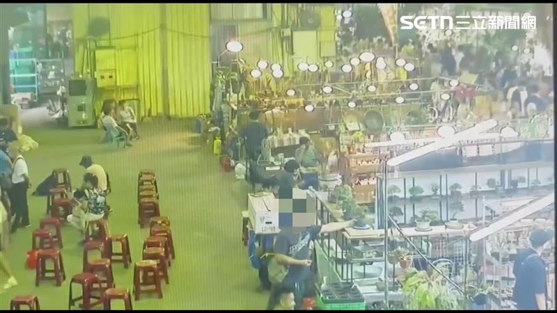 北市蔡男在建國花市竊取價值1萬8千元的盆栽。（圖／翻攝畫面）