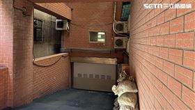 新北李女喝醉跌落社區車道口，慘遭徐姓住戶開車輾過。（圖／翻攝畫面）