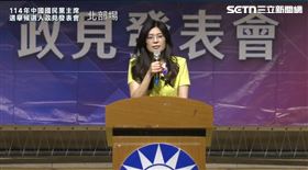 鄭麗文表示，未來擔任黨主席，首要目的將先穩住北北基桃，「不可以有任何狀況，要順利連任」。（圖／翻攝畫面）