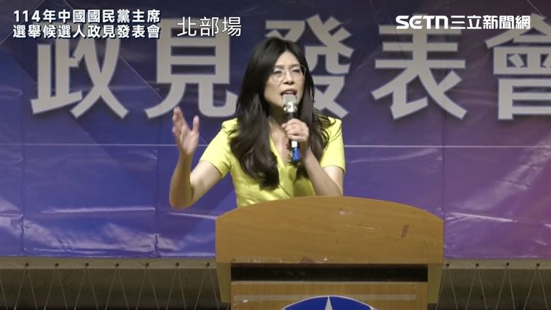 鄭麗文表示，未來擔任黨主席，首要目的將先穩住北北基桃，「不可以有任何狀況，要順利連任」。（圖／翻攝畫面）