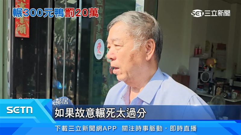 鄰居對於紅面番鴨遭活活輾死也感到憤恨