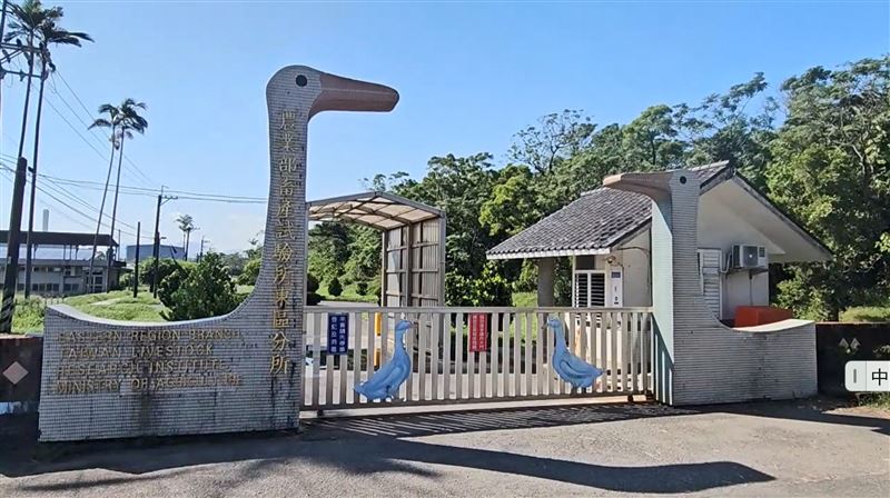 農業部畜產試驗所東區分所。（圖／翻攝畫面）