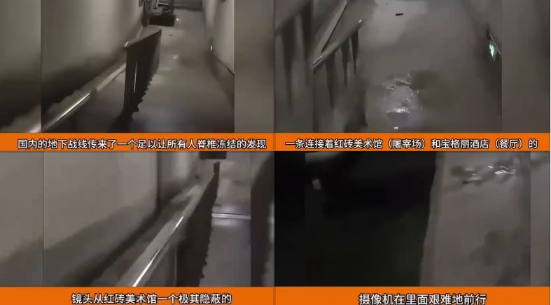網友用無人機拍到于朦朧生前疑似被用來轉移的秘密通道。（圖／翻攝自@anitajojo24 TikTok）