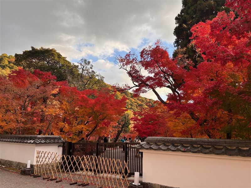 京都南禪寺永觀堂黃葉與紅葉交織，為旅客必訪的秋日美景。（圖／捷絲旅提供）