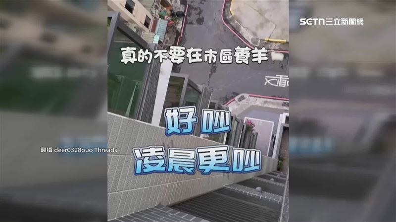 過去也有人在陽台養迷你羊，遭鄰居投訴羊叫聲實在太吵