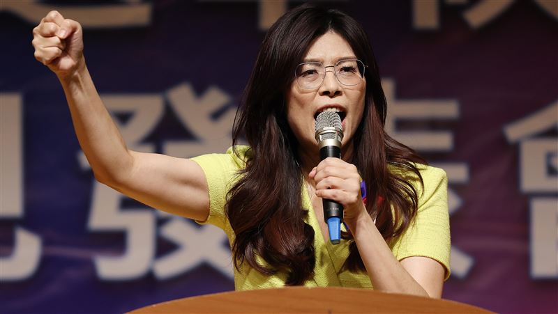 藍委:鄭麗文從來沒選贏過!履歷蒼白無力