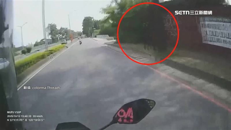有民眾行經高雄楠梓區高楠公路，發現員警拿著測速槍「躲在樹幹後」抓超速