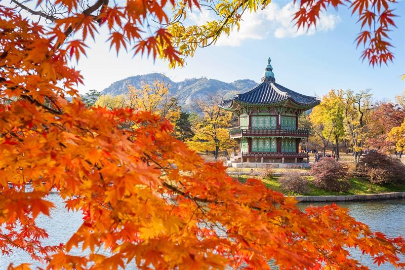 韓國賞楓季約於10月中下旬開跑，赴韓追楓搭華航，最低9千有找即可出發，極具吸引力。（圖／易遊網提供）