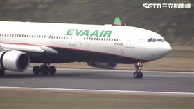 長榮航空、出國、空服員、長榮空姐 圖／資料照