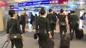 長榮航空、出國、空服員、長榮空姐 圖／資料照