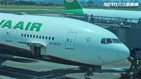 長榮航空、出國、空服員、長榮空姐 圖／資料照