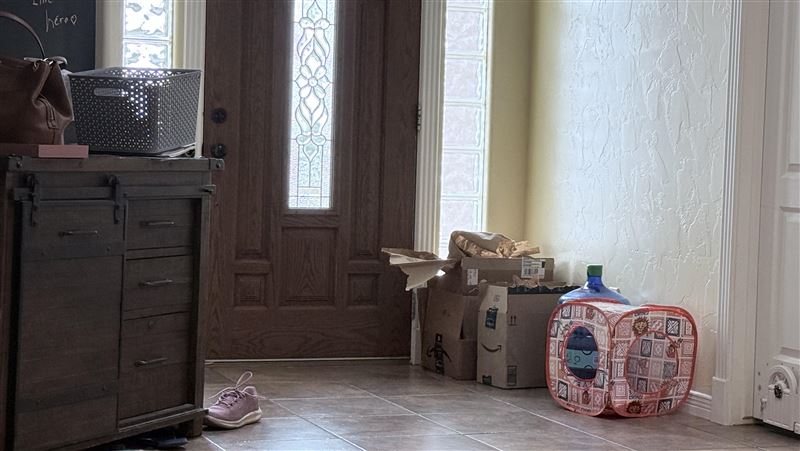 小橘貓躲在家門口！眾人花好幾分鐘才找到