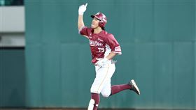 樂天桃猿林智平炸裂追平3分砲。（圖／樂天桃猿提供）