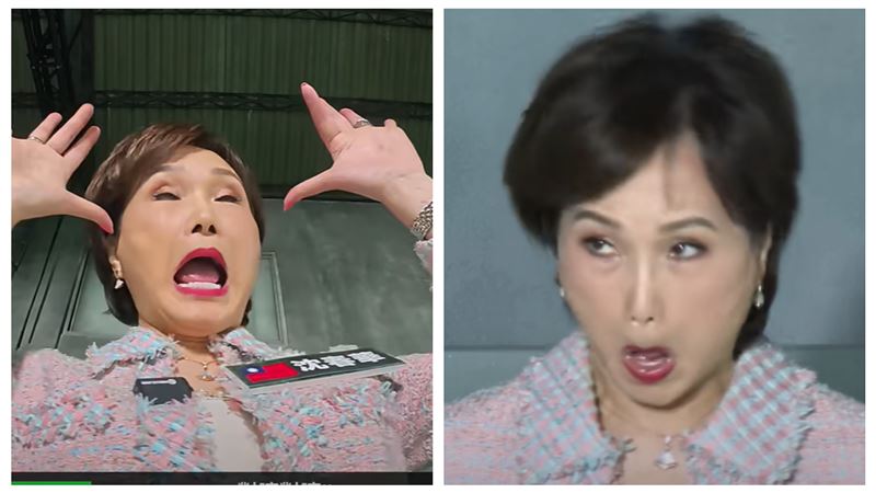沈春華節目片段被做成表情包（圖／翻攝自YouTube @Ku&#39;s dream酷的夢）