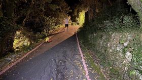 新北市新店區昨（12）日晚間發生一起死亡車禍。（圖／翻攝畫面）