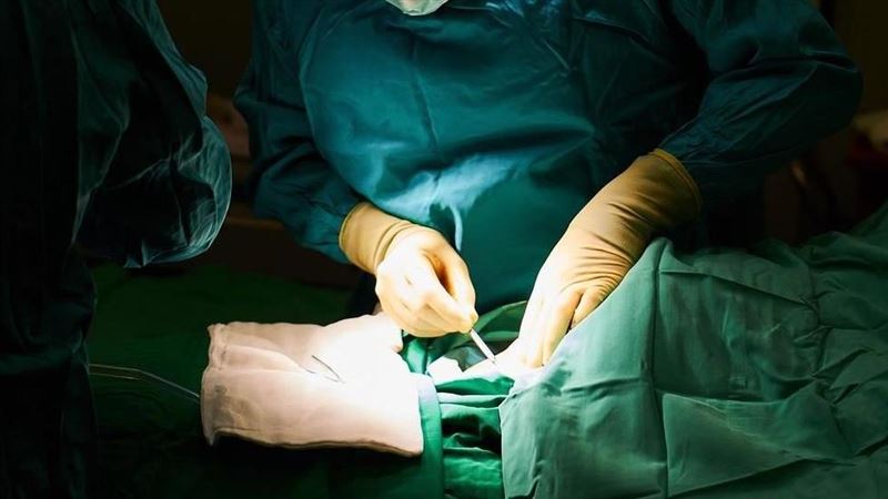部分受害者在死後還被摘除器官販售，幾乎天天有人身亡。（示意圖／翻攝自Pixabay）