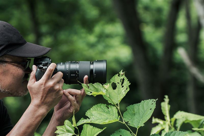 Sony FE 100mm F2.8 Macro GM OSS搭載頂尖光學結構與操作設計，全面強化微距拍攝體驗，同時提供兼具極致細節與柔和散景的卓越成像品質