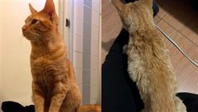 （圖／翻攝自TikTok／iamjade_03）