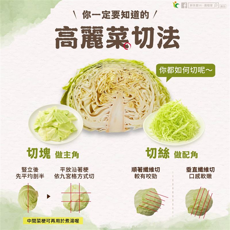 高麗菜順著切、垂直切，口感差很大。（圖／翻攝自農糧署臉書）