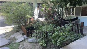 竹北,女童,托嬰中心,生態池（圖／民眾提供）