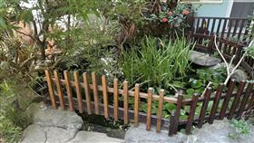 竹北,女童,托嬰中心,生態池（圖／民眾提供）