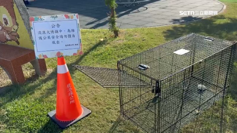鹿港鎮公所設置的流浪犬誘捕籠