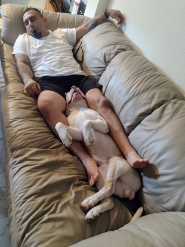 鄰居表示，2隻比特犬從小由飼主養大，獲得良好照顧，不清楚為何比特犬會發狂似緊咬飼主。(圖／翻攝自GoFundMe)