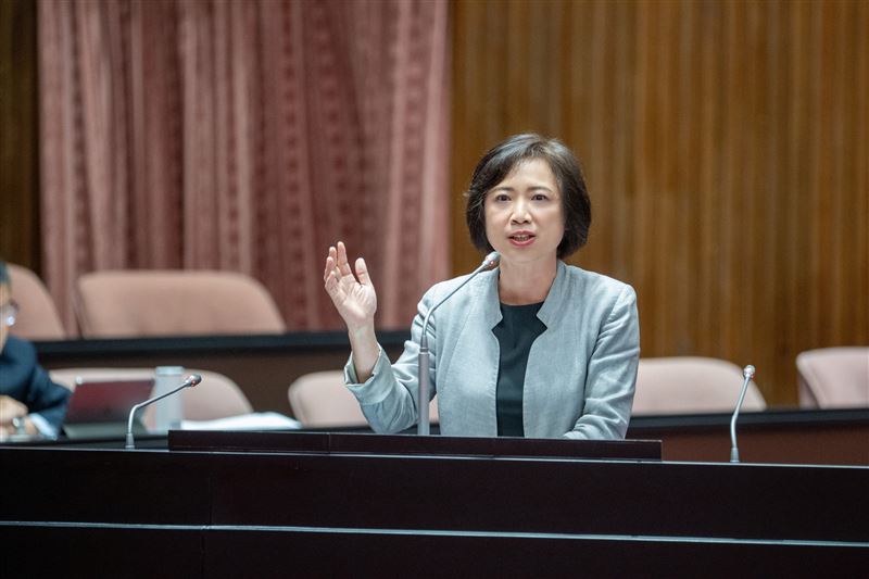 民進黨立委何欣純獲徵召參選2026台中市長（圖／翻攝自何欣純臉書）