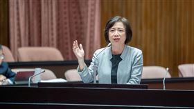 民進黨立委何欣純獲徵召參選2026台中市長（圖／翻攝自何欣純臉書）