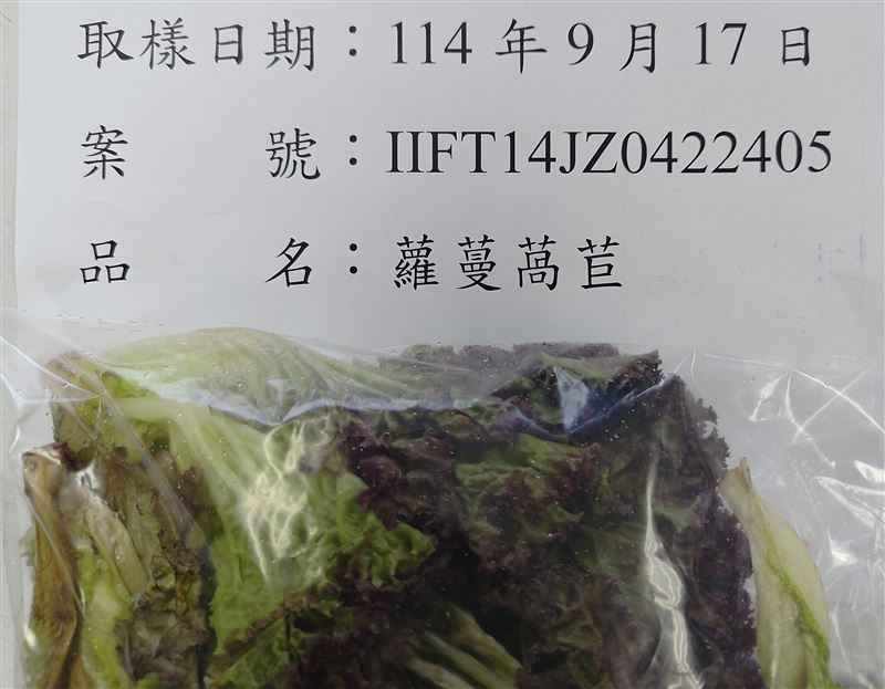 越南蘿蔓萵苣農藥超標。(圖/食藥署提供)