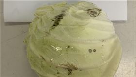 食藥署日前公布邊境檢驗不合格品項（圖／食藥署提供）