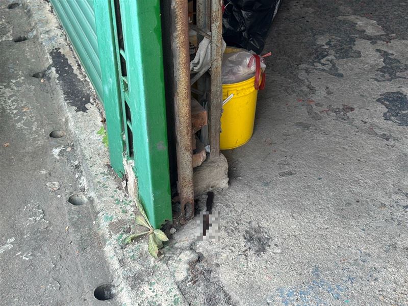 霧峰23歲林姓男子不滿鄰居太吵，竟持刀闖進屋內砍70歲婦人，再砍傷前來救援的70歲老翁，兇嫌隨後遭警方制伏。(圖／翻攝畫面)
