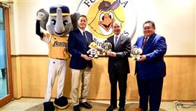 軟銀鷹明年2月底將來台與中信兄弟打交流賽。（圖／悍創運動行銷提供） 