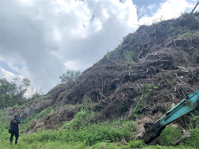 苗栗張姓地主，提供名下位於三義的山坡地，讓清運業者非法傾倒廢樹枝，2年堆了1.3噸。(圖／翻攝畫面)