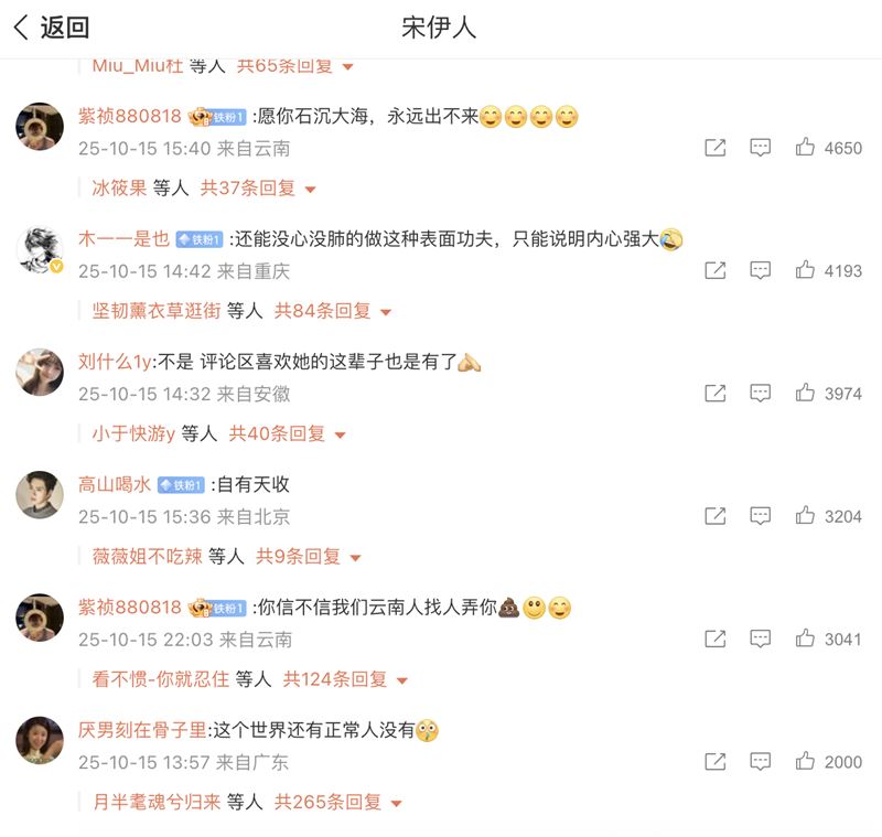 中國網友都不挺宋伊人。（圖／翻攝自微博）