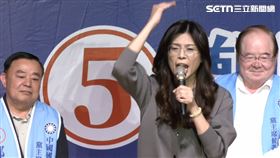 鄭麗文（圖／翻攝畫面）
