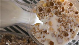 燕麥,麥片。(圖/pixabay)