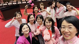 「PINK風」也刮進立院！綠委今掀起粉紅風