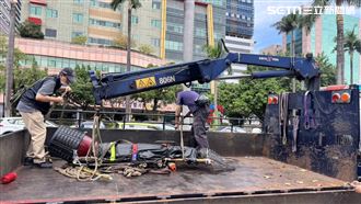 不滿政府禁飼養　業者帶2米鱷魚立院抗議