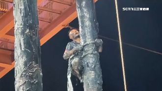 搶孤「金獎照」遭疑黑箱　工作人員得冠軍