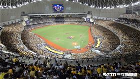 台灣大賽G1，湧進滿場4萬人。（圖／記者劉彥池攝影）
