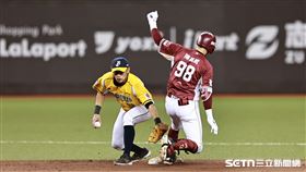 台灣大賽G1，樂天桃猿左外野手陳晨威敲安溜上二壘。（圖／記者劉彥池攝影）