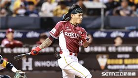 台灣大賽G2，樂天桃猿二壘手林子偉敲出安打。（圖／記者劉彥池攝影）