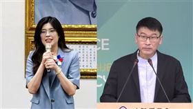 （圖／翻攝自鄭麗文臉書、陸委會記者會）