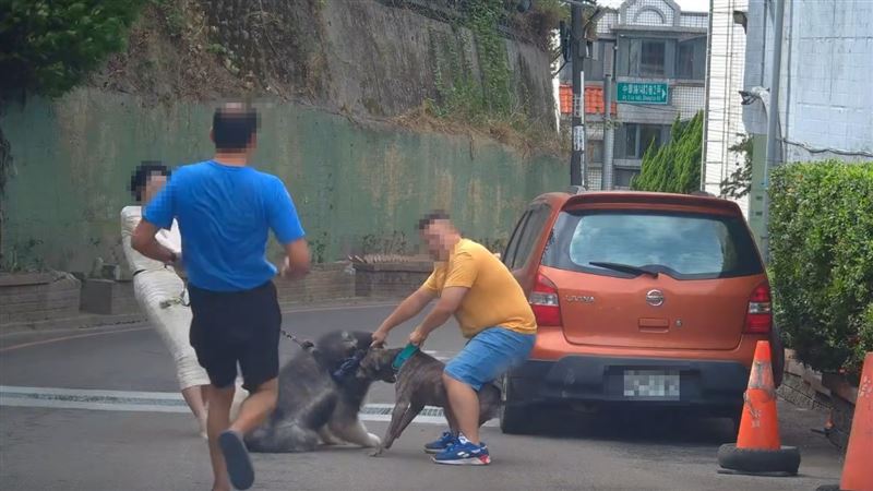 新竹縣竹北市的模特兒「栗子」昨天（19日）上午牽繩遛狗，遭比特犬攻擊。（圖／翻攝自Threads @davidyuyuyu帳號）