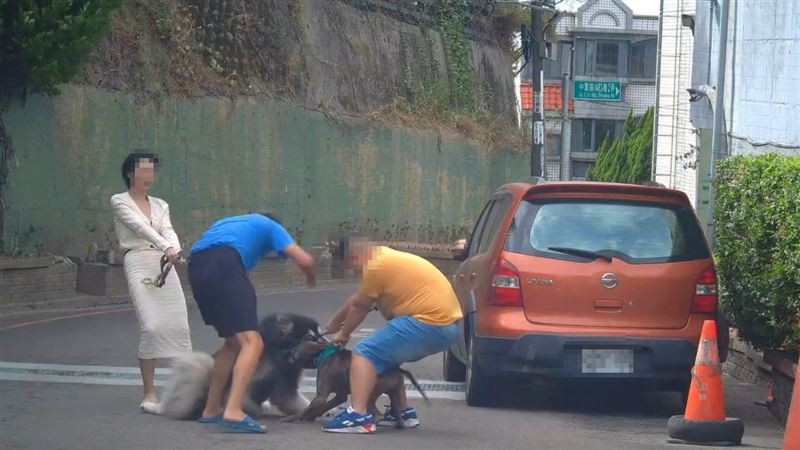 恐怖畫面曝！小模遛狗…遭比特死咬脖濺血