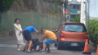 新／混種比特犬咬傷小模狗　動保所開罰了