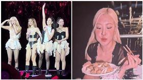 台南,高雄場,鹹酥雞,演唱會,鳳梨酥,Rosé,BLACKPINK（圖／讀者提供）